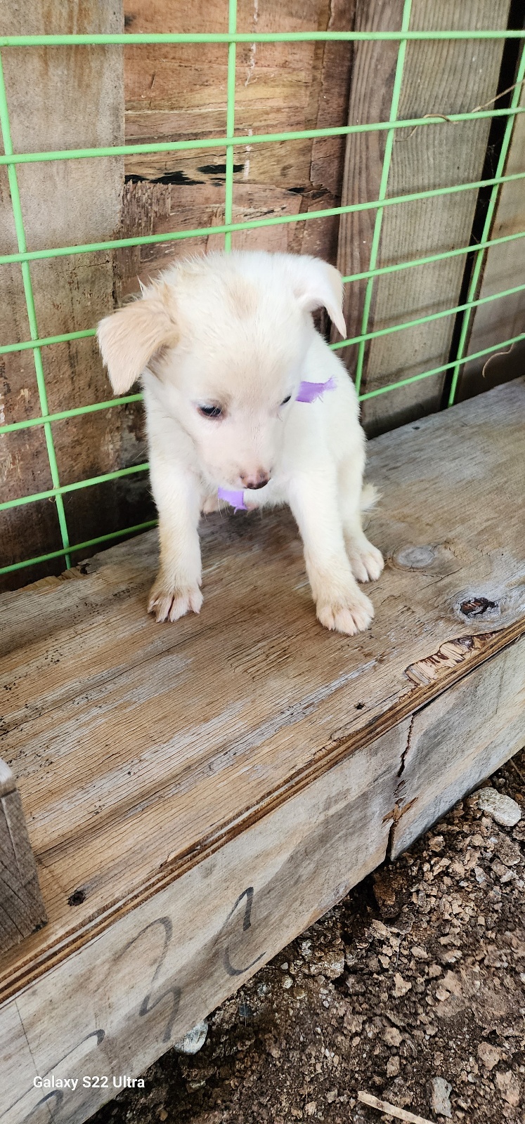 전북말산업복합센터_445471202500469